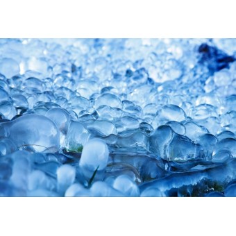 Froid